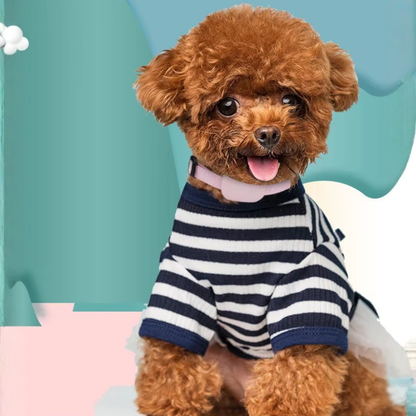 Collier pour animaux de compagnie en forme de patte pour chats et chiens, dispositif de suivi anti-perte, collier intelligent de suivi GPS à distance pour iOS