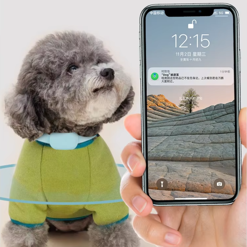 Collier pour animaux de compagnie en forme de patte pour chats et chiens, dispositif de suivi anti-perte, collier intelligent de suivi GPS à distance pour iOS